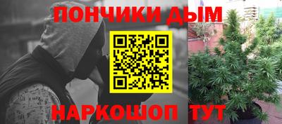 Альфа ПВП Краснознаменск