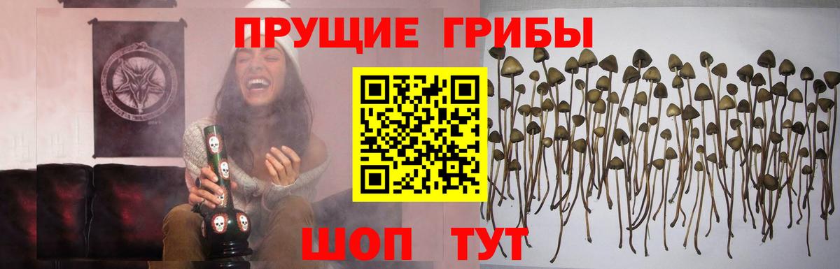Псилоцибиновые грибы Psilocybine cubensis  Вход с VPN  Галлюциногенные грибы Cubensis  Кириши 